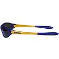 Minnesota Vikings Team Sunglasses